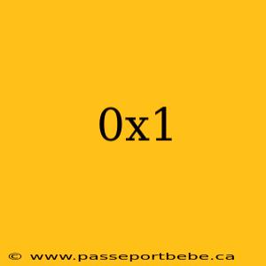 0x1
