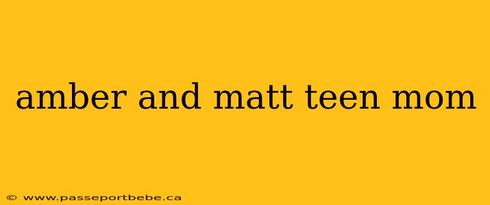 amber and matt teen mom