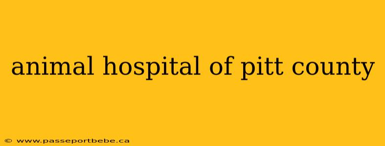 animal hospital of pitt county