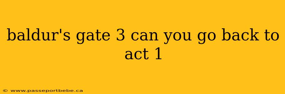 baldur's gate 3 can you go back to act 1