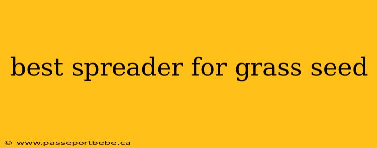 best spreader for grass seed