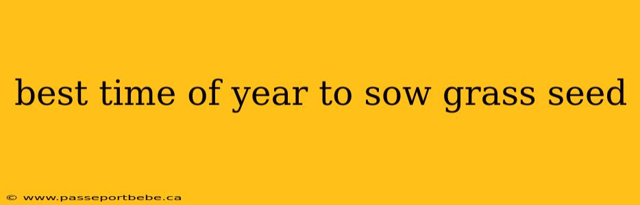 best time of year to sow grass seed