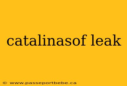 catalinasof leak