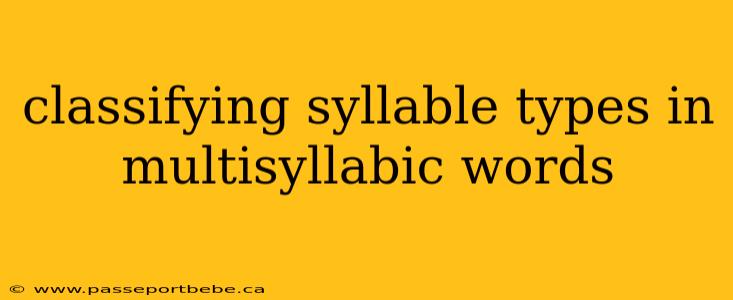classifying syllable types in multisyllabic words
