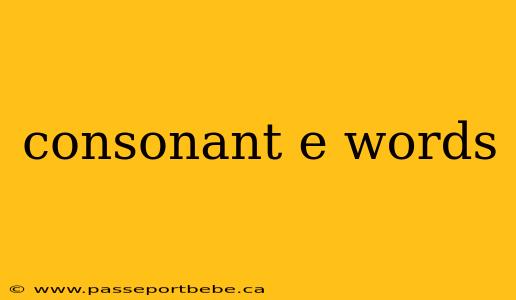 consonant e words