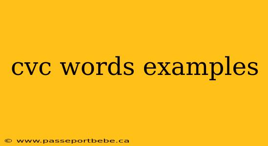 cvc words examples