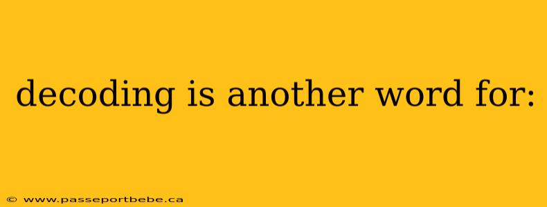 decoding is another word for: