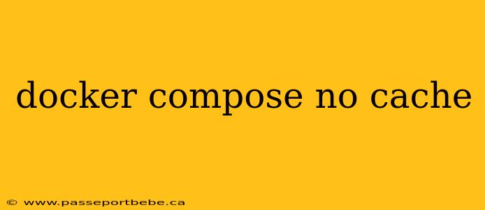 docker compose no cache