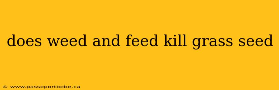 does weed and feed kill grass seed