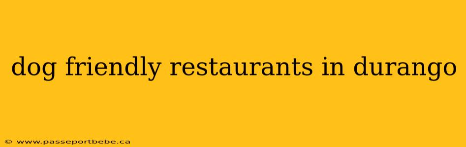 dog friendly restaurants in durango