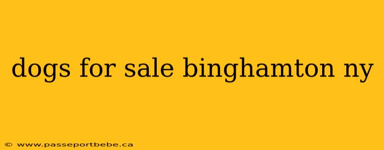 dogs for sale binghamton ny