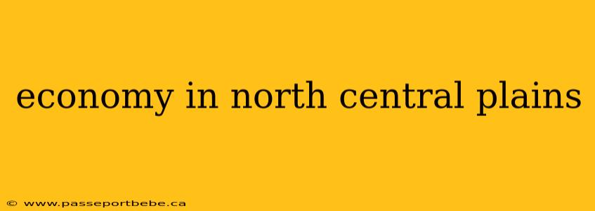economy in north central plains