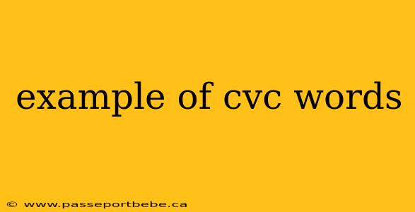 example of cvc words