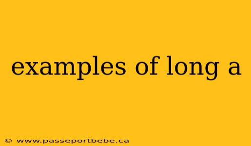 examples of long a