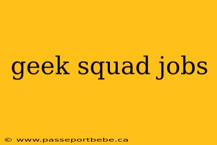 geek squad jobs