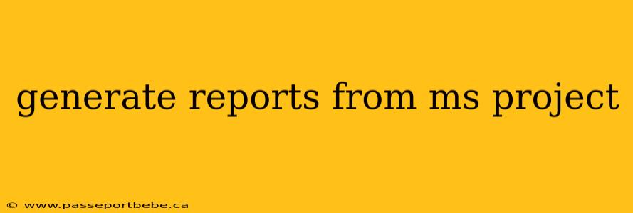 generate reports from ms project