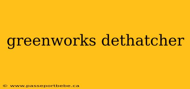 greenworks dethatcher