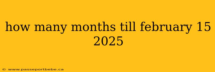 how many months till february 15 2025