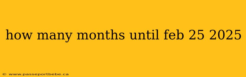 how many months until feb 25 2025