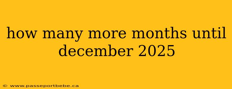 how many more months until december 2025