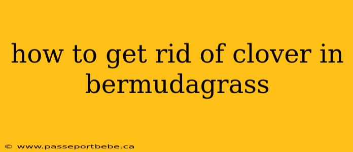 how to get rid of clover in bermudagrass