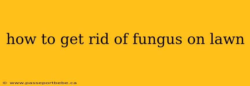 how to get rid of fungus on lawn