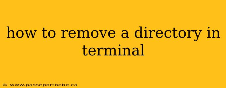 how to remove a directory in terminal