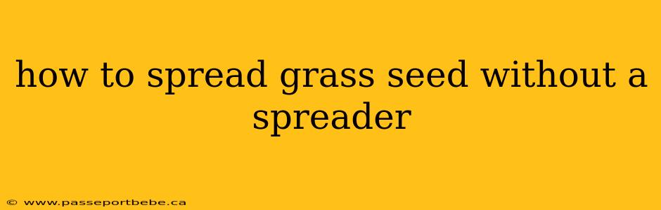 how to spread grass seed without a spreader