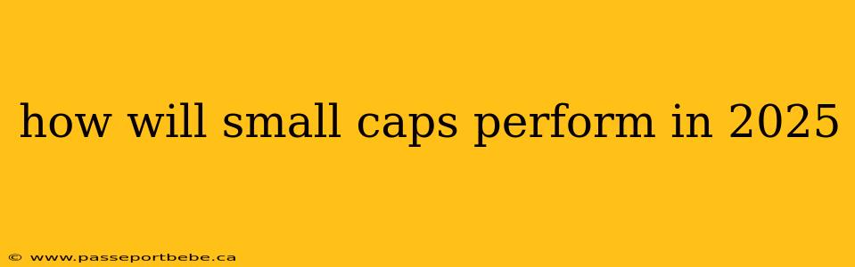 how will small caps perform in 2025