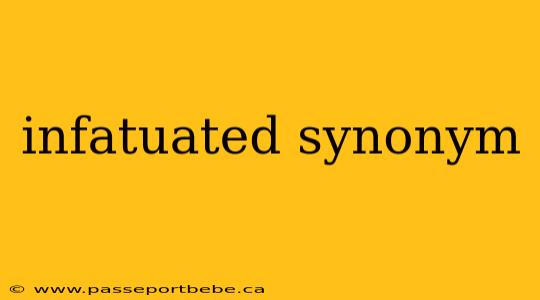 infatuated synonym