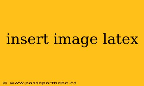 insert image latex