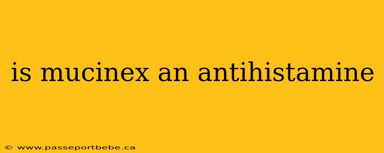 is mucinex an antihistamine