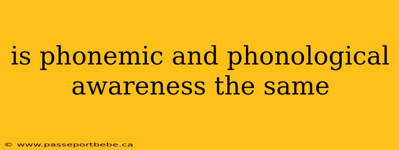 is phonemic and phonological awareness the same