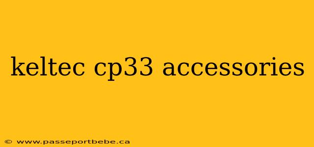 keltec cp33 accessories