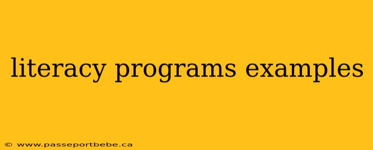 literacy programs examples