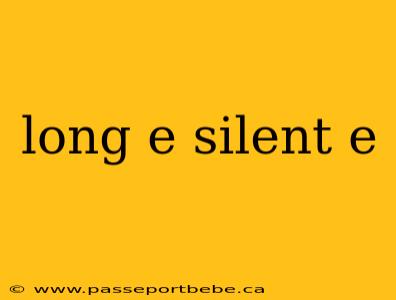 long e silent e