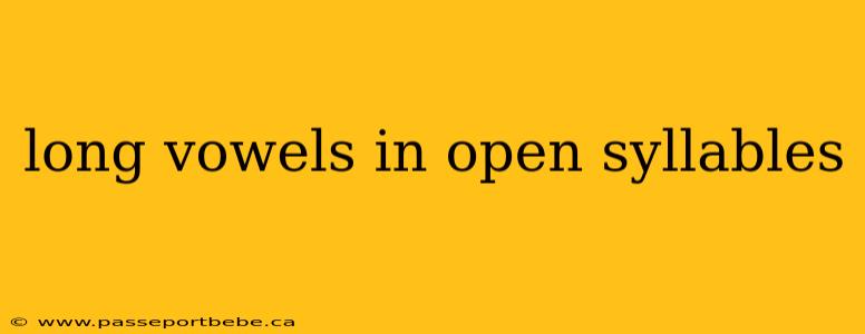 long vowels in open syllables