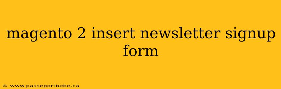 magento 2 insert newsletter signup form