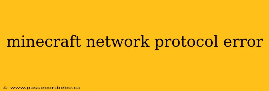 minecraft network protocol error