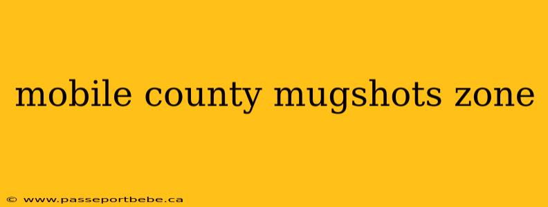 mobile county mugshots zone