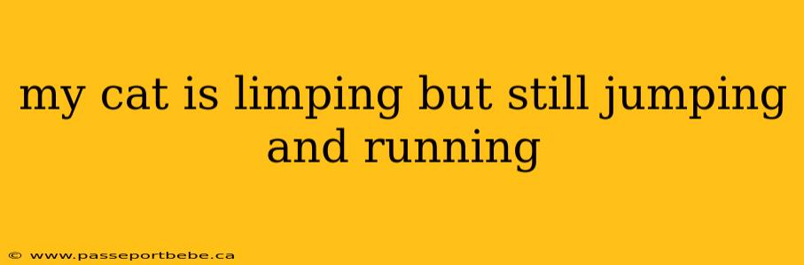 my cat is limping but still jumping and running