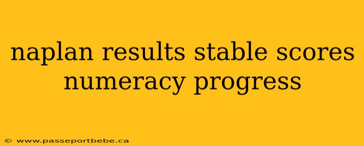 naplan results stable scores numeracy progress