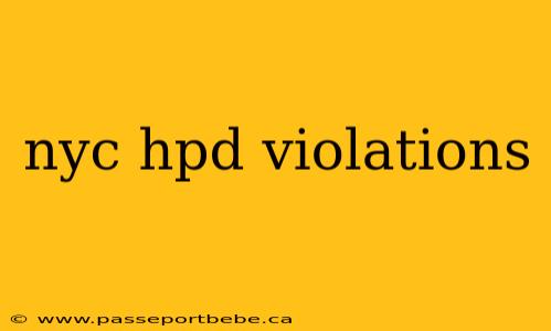 nyc hpd violations