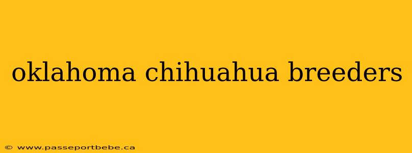oklahoma chihuahua breeders