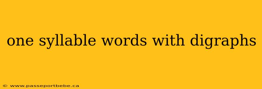 one syllable words with digraphs