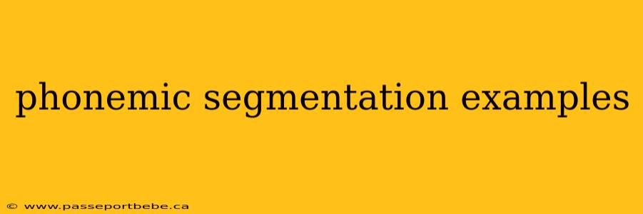 phonemic segmentation examples