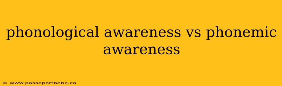 phonological awareness vs phonemic awareness