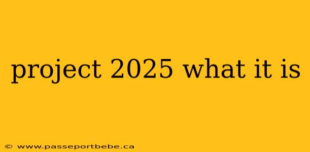 project 2025 what it is