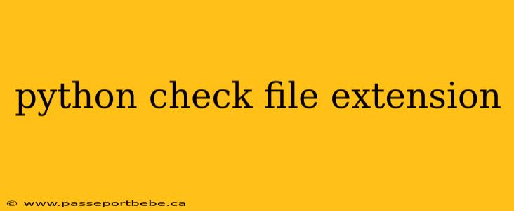 python check file extension