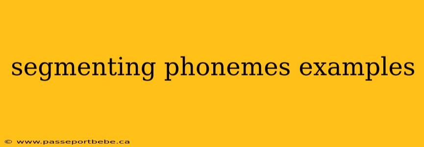 segmenting phonemes examples